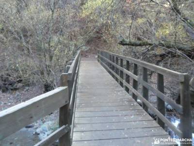 Valle del Genil:Naturaleza Sierra Nevada; grupo de amigos madrid sendas verdes de madrid castillo ja